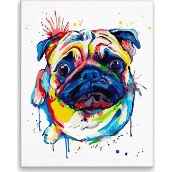Obraz Obraz na plátně - Vzhlížející mops v barvách - 40x50 cm - CZ výroba