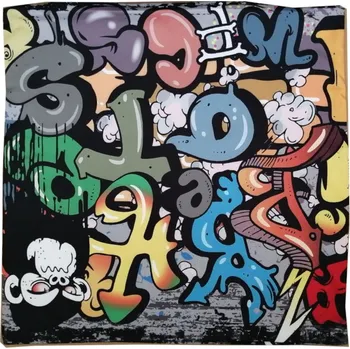 Polštář Apex® Povláček na polštářek Microtop - Grafiti - Polštářek s výplní (100% pes kuličkové duté vlákno)