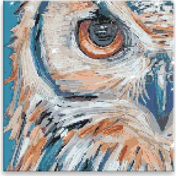 Diamantové malování Diamantové malování - Sova Bina - 40x40 cm, bez dřevěného rámu - CZ výroba