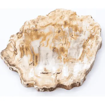 Přírodní kámen Milujeme Kameny Zkamenělé dřevo - zkamenělina ZD21 407592