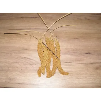 Krmivo pro ptáka LECODE H.K. INTLĹ Senegalské proso klasy červené 100 g