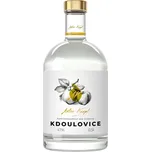 Anton Kaapl Kdoulovice 47% 0,5l (holá láhev)