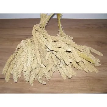 Krmivo pro ptáka LECODE H.K. INTLĹ Senegalské proso klasy žluté 5 kg