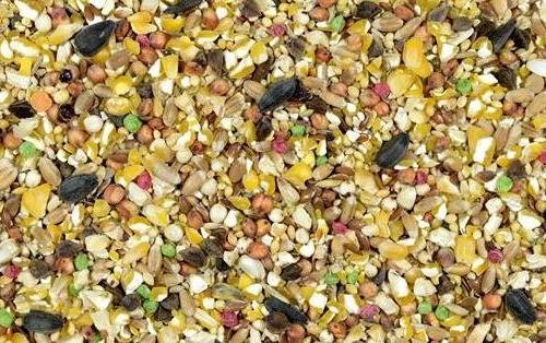 DIVOKÉ PTACTVO zahrad a parků Kampol PPiO 10 kg