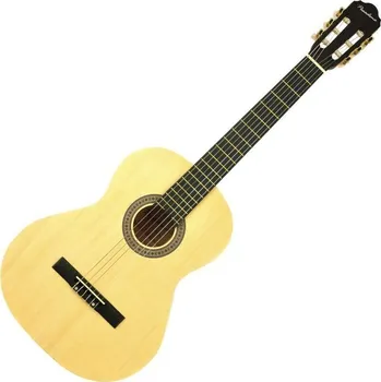 Klasická kytara Pasadena SC041 4/4 NA