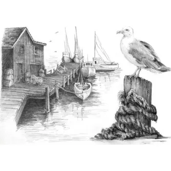 omalovánky Malování SKICOVACÍMI TUŽKAMI- Racek