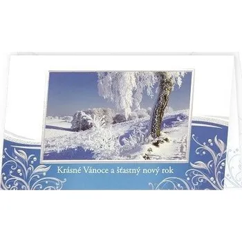 ARGUS Vánoční přání 11-6259c