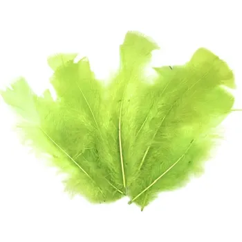Velikonoční dekorace Dekorační peříčka ZELENÁ 12ks bal (Dekorační peříčka, husí, barva hráškově zelená, balení 12ks, velikost 12-18cm)