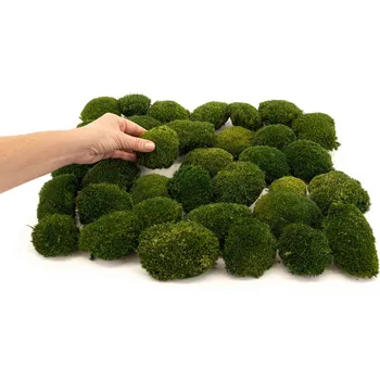 umělá květina Stabilizovaný kopečkový mech MINI Ball Moss Canopy | Přírodně Zelený | 50g