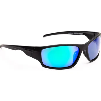 Sluneční brýle Bliz Polarized C 51915-13