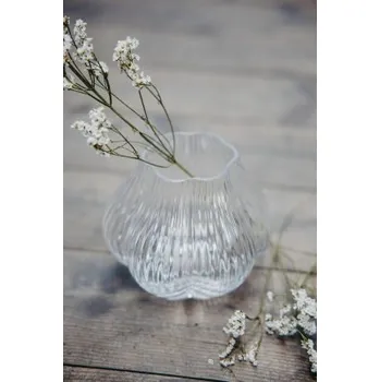 Váza Skleněná váza Flora Angshult Clear 13 cm