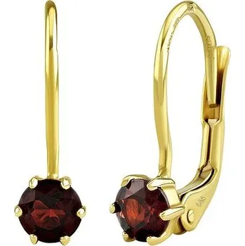 Náušnice Zlaté náušnice Darine ze žlutého zlata s přírodním granátem JSW2234EGY4GRKL