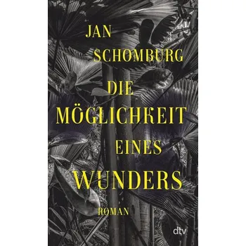 Die Möglichkeit eines Wunders - Schomburg, Jan