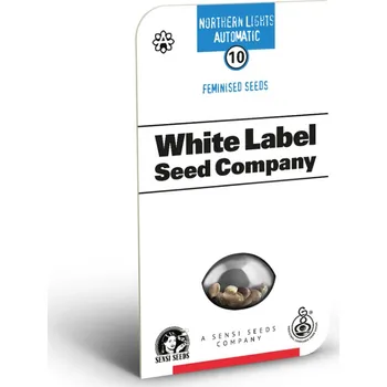 Semeno Northern Light AUTO - White Label Auto – samonakvétací semena | Sensi Seeds Feminized (Ks): 3