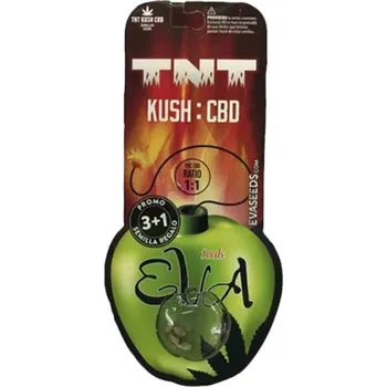 Semeno TNT Kush CBD – feminizovaná semena | Eva Seeds Feminized (Ks): 3 + 1 Zdarma