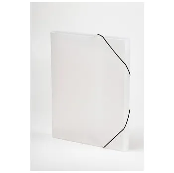 Archivační box Sluha s gumou Opaline A4, čirá