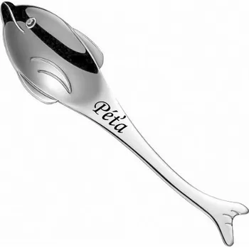 Příbor Ocelová lžička Delfín