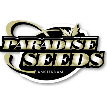 Semeno Kong 4 AUTO – samonakvétací semena | Paradise Seeds Feminized (Ks): 3
