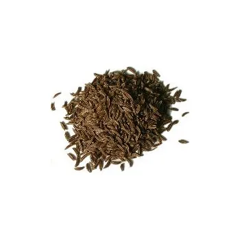 Koření Variant Kmín celý