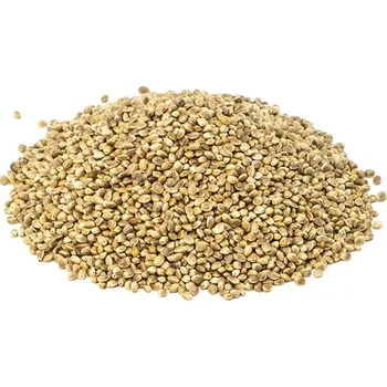 Byliny.cz KONOPNÉ SEMÍNKO NELOUPANÉ semínka: 500g