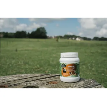 Krmivo pro koně Biotin pro koně RAVENE 1kg