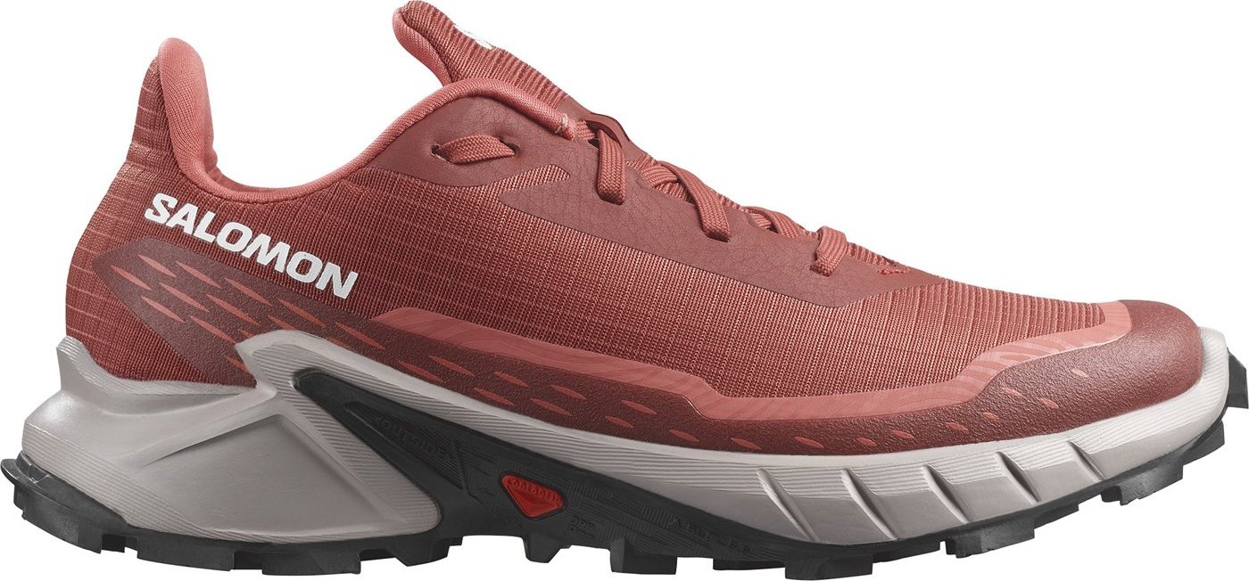 Salomon Alphacross L47313600, 40 od 449 Kč
