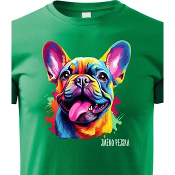 Chlapecké tričko Dětské tričko Francouzský buldoček, Barva Zelená, Velikost 158 cm/12 roků, Canvas Dětské tričko 2450