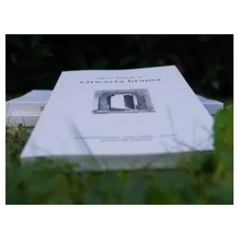 Otwarta brama - Dostatni Tomasz