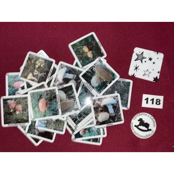 Karetní hra HandMade by VeJa Pexeso vel.L č.118 - Houby (36kousků)