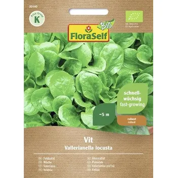 Semeno Organický polníček Vit FloraSelf Organická semena odolná proti osivu Semena salátu Zimní zelenina
