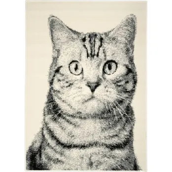 Hans Home Kusový koberec Cat grey - 80x120