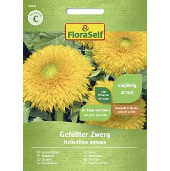 Semeno Slunečnice Gefüllter Zwerg FloraSelf