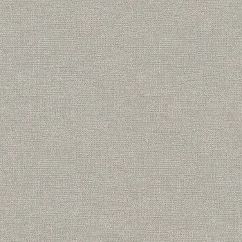 Tapeta Decoprint Šedo-stříbrná vliesová tapeta na zeď, RE25124, Reflect, Decoprint, velikost 10,05 x 0,53 m