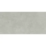 PS808 grey micro - obkládačka rektifikovaná 29x59 šedá OP570-004-1