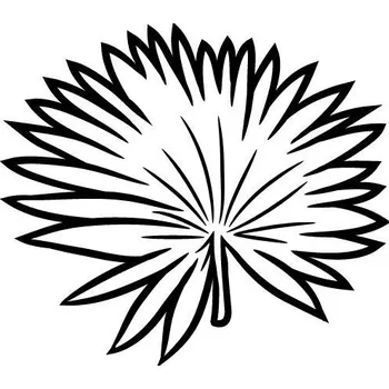 Autovosk Karnaubský vosk 100% Alteya Organics 60 g