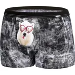 Cornette Glasses 01063 Boxer černé