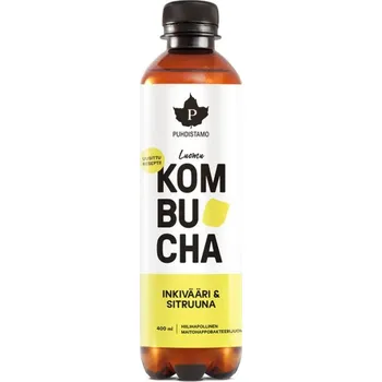 kombuchy Puhdistamo Kombucha BIO 400ml (zázvor a citrón)