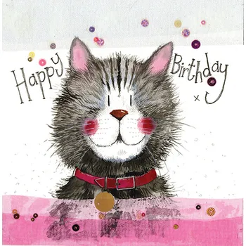 Přání v obálce CAT & COLLAR, ALEX CLARK, 16*16 cm (Blahopřání v obálce s kočkou, kočka)