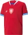 PUMA Czech Republic Home 22/23 Replica Jersey Youth 765867-01