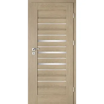 Interiérové dveře Interiérové dveře - Intenso Lion Steel W-2 - 1000dveri.cz