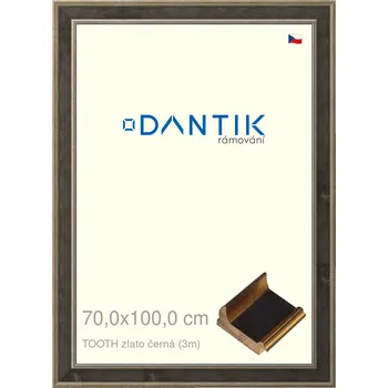 Rám na obraz DANTIK rámeček 70x100 | TOOTH zlato černá (Plexi Čiré) (Vyrobeno s láskou u nás v DANTIKU)
