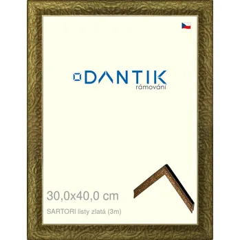 Rám na obraz DANTIK rámeček 30x40 | SARTORI listy zlatá (Plexi Čiré) (Vyrobeno s láskou u nás v DANTIKU)