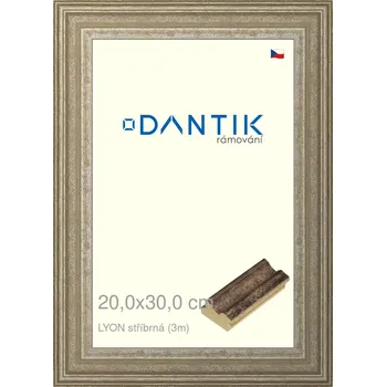 Rám na obraz DANTIK rámeček 20x30 | LYON stříbrná (Sklo Čiré) (Vyrobeno s láskou u nás v DANTIKU)