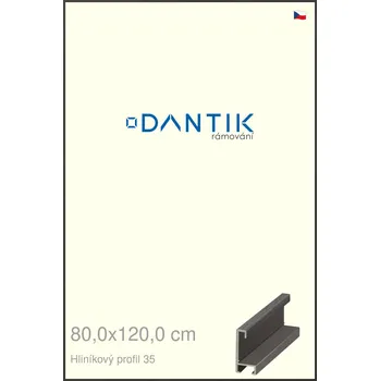 Rám na obraz DANTIK rámeček 80x120 | ALU profil 6035 Dýha černá (Plexi Čiré) (Vyrobeno s láskou u nás v DANTIKU)