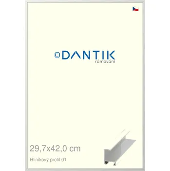 Rám na obraz DANTIK rámeček 29,7x42 | ALU profil 6001 Stříbrná lesklá (Plexi Čiré) (Vyrobeno s láskou u nás v DANTIKU)