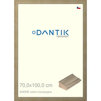 Rám na obraz DANTIK rámeček 70x100 | ANDRÉ velká champagne (Plexi Čiré) (Vyrobeno s láskou u nás v DANTIKU)