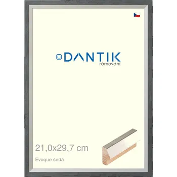 Rám na obraz DANTIK rámeček 21x29,7 | EVOQUE šedá (Sklo Čiré) (Vyrobeno s láskou u nás v DANTIKU)