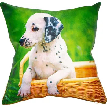 Polštář Fotopolštář, Dalmatín, 40 x 40 cm