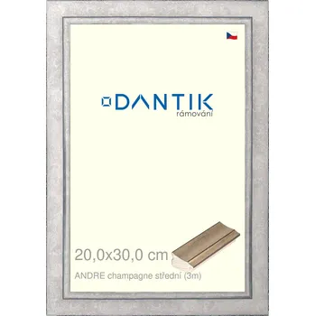 Rám na obraz DANTIK rámeček 20x30 | ANDRE champagne střední (Sklo Čiré) (Vyrobeno s láskou u nás v DANTIKU)