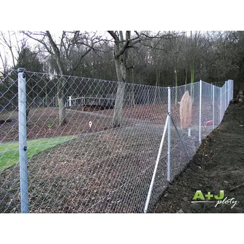 Plotový sloupek Pepe Sloupek pozinkovaný 48/2500mm